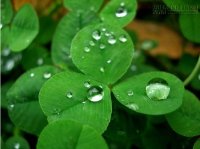 Top cung hoàng đạo nào may mắn nhất vào cuối năm?