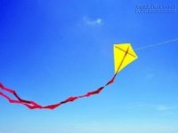 Top 3 chòm sao phất lên như diều gặp gió trong 5 năm tới