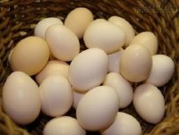 Mẹo phân biệt trứng gà ta và trứng gà Trung Quốc
