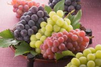 Bạn đã biết trăm điều lợi của trái nho chưa?
