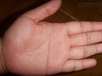 Xem chỉ tay chọn chồng như ý