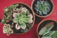 4 Mẩu chuyện -4 câu nói cho tâm hồn luôn an yên