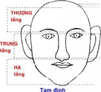 Tướng lục phủ, tam tài, tam đình cho biết điều gì?