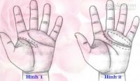 Chỉ tay của người tài phú và thành công