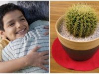 Hối hận vì đã tức giận khi ông tặng cây xương rồng trong ngày sinh nhật