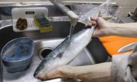 Bí quyết khử sạch mùi tanh của cá trên vật dụng chế biến