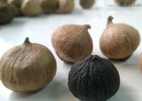 Hướng dẫn cách ủ lên men tỏi đen đơn giản, hiệu quả cao