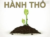 Phong thủy cho người mệnh Thổ
