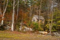 Vị thiền sư và nấm ngọc hương giữa rừng