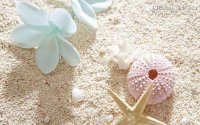 Top 4 chòm sao nữ khoan dung nhất trong tình yêu
