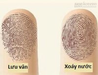 Xem bói vân tay biết ngay giàu nghèo