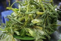 Rau rút - phương thuốc trị mất ngủ hiệu quả