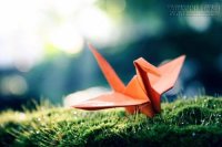 Người đàn ông và ba điều ước