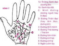 Xem tướng tay: Lý giải tất tần tật về đường Định Mệnh