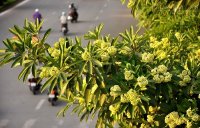 Tử vi 12 cung hoàng đạo thứ tư ngày 28/10/2015