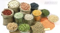 Trị bách bệnh với các loại hạt đậu