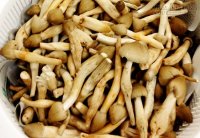 Nấm mối – món ngon trời cho, vị thuốc đa năng chữa nhiều bệnh
