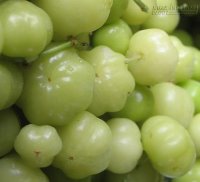 Quả dùm ruột – không chỉ là món ăn ưa thích của chị em