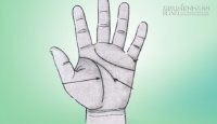 Đường nét trên lòng bàn tay nói lên điều gì về con người bạn?