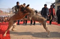 Người khiêm tốn là người khôn ngoan