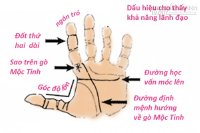 Những dấu hiệu trên bàn tay cho thấy bạn có số làm lãnh đạo