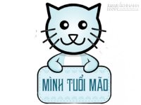 Tuổi Mão - Mức độ giàu có và phát tài