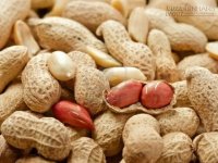 Ăn lạc thế này, ung thư gan có ngày!