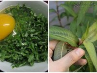 Rùng mình tác hại của rau má, ngải cứu, rau răm khi dùng sai cách