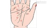 9 đường vân tay nhiều tiền lắm của