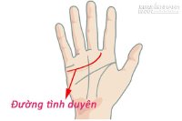 Xem chỉ tay đường tình duyên chính xác nhất