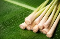 Kinh nghiệm chữa tóc rụng bằng cây sả