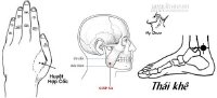 Trị đau răng tức thì với phương pháp day bấm huyệt