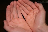 5 kiểu bàn tay của người có số đại gia