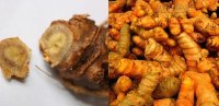 Chữa bệnh Trĩ tận gốc của người H’mông mà không hề đau đớn