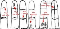 Xem thành công thất bại qua đường vân ngón tay áp út