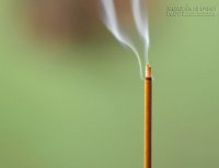 Thắp bao nhiêu hương trên bàn thờ là tốt nhất?