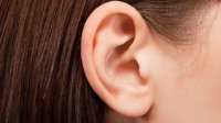 Vận số của những người tai to