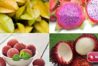Trái cây ngon bán đầy chợ tại Việt Nam thành của lạ và đắt đỏ ở nước ngoài