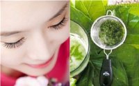 Trị nám hiệu quả nhờ lá trầu không