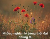 5 nghịch lý cuộc sống khiến chúng ta phải suy ngẫm