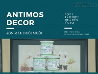 Sơn màu đuổi muỗi Antimos Decor