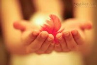 Buông bỏ là một loại trí tuệ, biết buông bỏ mới có được hạnh phúc!