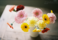 Bình thản trước những lời sỉ nhục