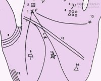 Dấu hiệu được thừa hưởng gia tài trên bàn tay