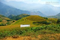 Vùng đất biệt lập Chiềng Ân chuyển màu lúa chín