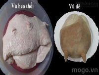 Hãy tẩy chay món vú dê nướng ngay khi đọc được bài viết này