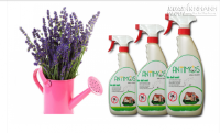 Cách trừ kiến đen trong nhà