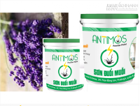 Giải pháp chống muỗi triệt để - Sơn Đuổi Muỗi Antimos