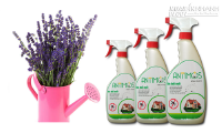 Thay thế cửa lưới chống muỗi với sơn từ thảo dược thiên nhiên