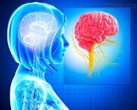 4 Bí kíp siêu đơn giản giúp bạn nhớ được mọi điều đã học